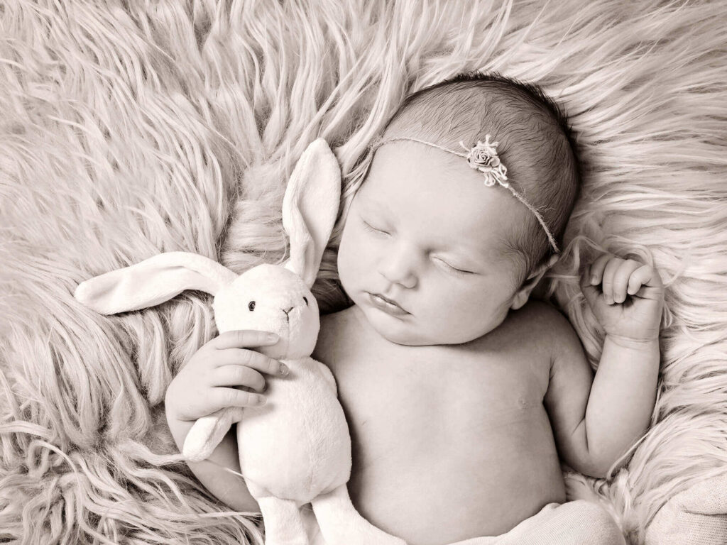Red Frog Studio Photography