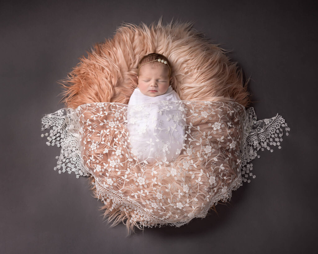 Red Frog Studio Photography