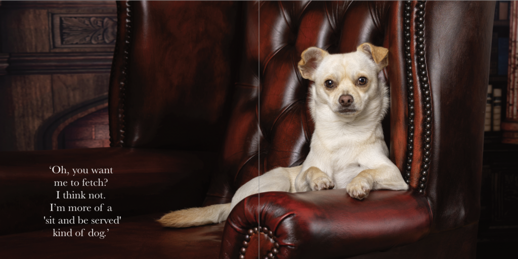 Red Frog Studio Photography